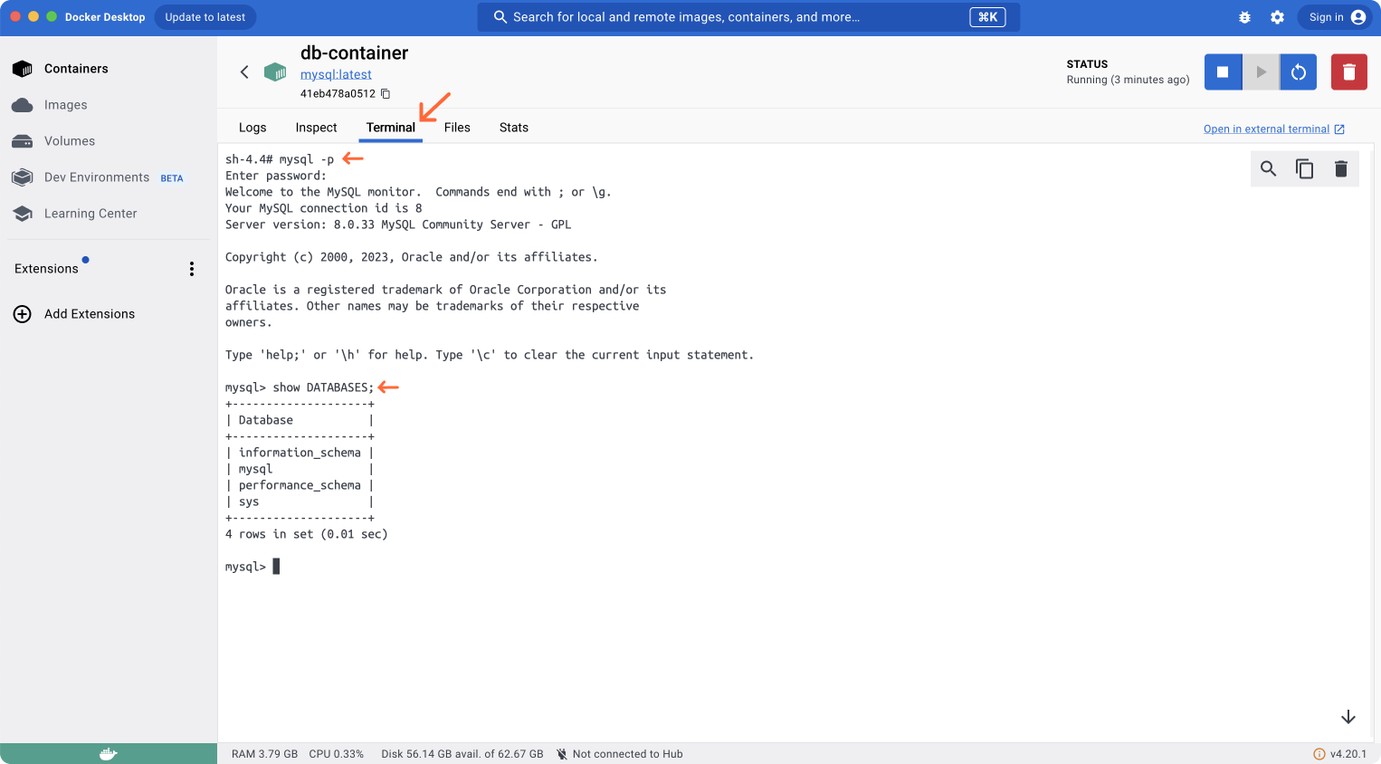 Running mysql commands in Docker Container Terminal